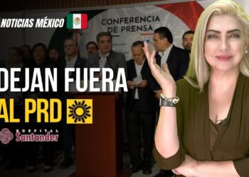 Plaga de cucarachas en Houston