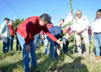 Realiza Desarrollo Rural jornada de reforestación