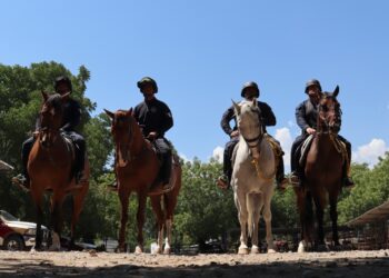 Jinetes de la Guardia Estatal en constante capacitación