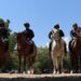 Jinetes de la Guardia Estatal en constante capacitación
