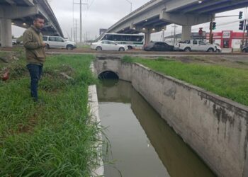 Trabaja Gobierno de Reynosa en mantenimiento y limpieza de avenidas
