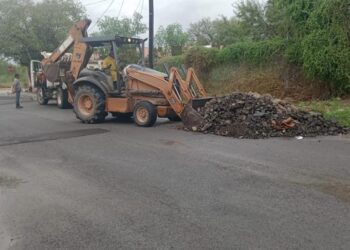 Trabaja Gobierno de Reynosa en mantenimiento y limpieza de avenidas