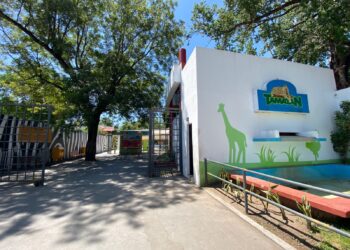 Arranca “Buu en el Zoo”, el recorrido más espeluznante