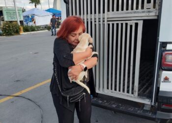 Invita Alcalde Carlos Peña a adoptar mascotas