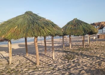 Inversión en Soto la Marina impulsa turismo, infraestructura vial, hidráulica y educativa