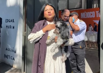 Movimiento Ciudadano rechaza postulación de Indira Kempis por ‘calumnias’