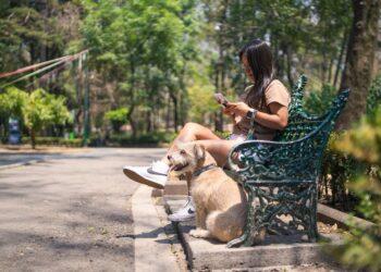Atiende Protección Animal Reynosa denuncias ciudadanas