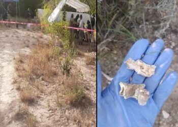 Descubren Campo de Exterminio en las Inmediaciones del Parque Eólico “El Salitrillo”