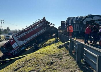 Accidente en Circuito Exterior Mexiquense deja 7 muertos; dos eran menores de edad