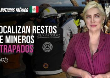 Arrestan a sujeto por muerte de perro