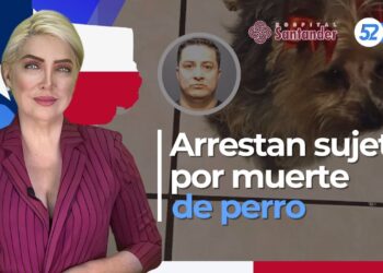 Arrestan a sujeto por muerte de perro