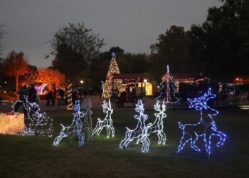 Aterrizará el trineo navideño en el Parque Recreativo Tamatán