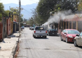 Pide Secretaría de Salud redoblar prevención contra el dengue