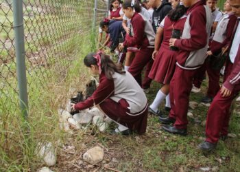 Germinan viveros de árboles nativos en escuelas de Tamaulipas