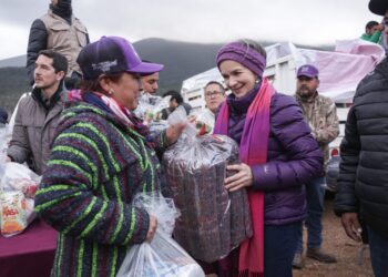 Benefician Gobierno del Estado y DIF Tamaulipas a 28 familias de Miquihuana con estufas ecológicas y celdas fotovoltaicas