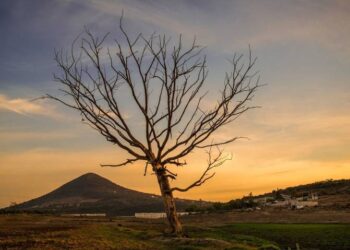 Michelle Zárate: quién es la oaxaqueña premiada en la ONU por su proyecto contra la sequía