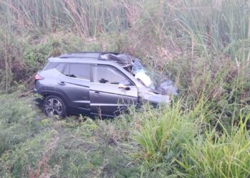 Choca con caballo y resulta lesionada