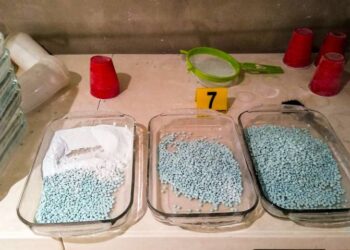 ¿Qué drogas consumen los jóvenes en Tampico? Descartan casos de adicción al fentanilo