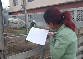 Atiende y resuelve Alcalde Carlos Peña Ortiz denuncias por maltrato animal