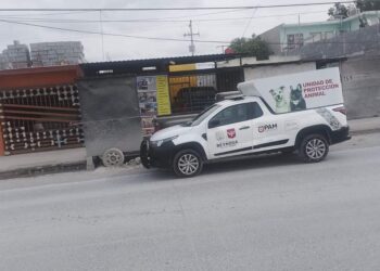 Alcalde Carlos Peña Ortiz comprometido con protección animal