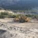 En el Altiplano tamaulipeco, construcción de vado conectará zonas ejidales