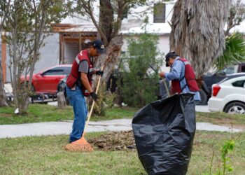 Repara Gobierno de Reynosa luminarias, vallas de contención y embellece plazas