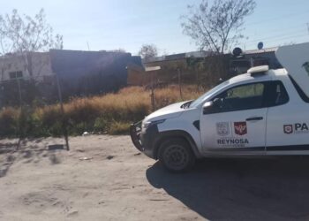 Rescatan a perrito herido