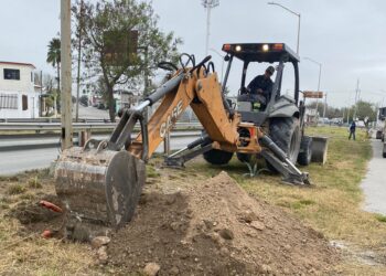 Embellecen en Reynosa la infraestructura urbana