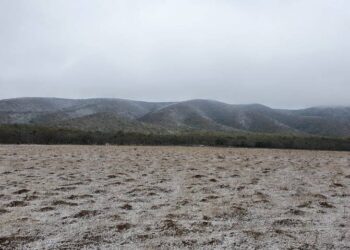 Inicio de semana frio en Tamaulipas