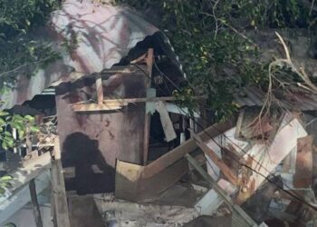Árbol cae al interior de una vivienda en Ciudad Madero y lesiona a abuelita