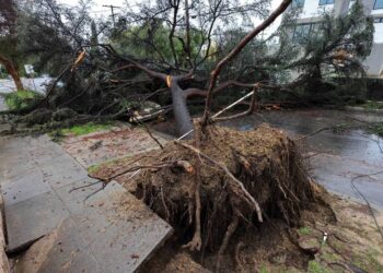 Tormenta en California deja sin electricidad a más de 500 mil personas