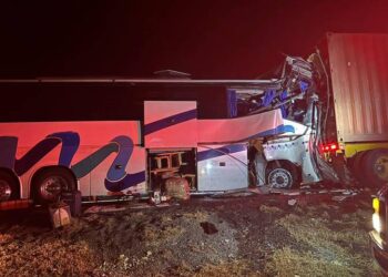 Tráiler, autobús y una vaca involucrados en accidente: carretera Victoria-Zaragoza fue cerrada