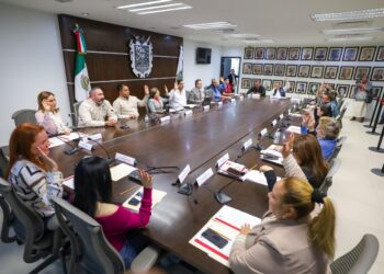 Vislumbra parque López Mateos actividad beisbolera