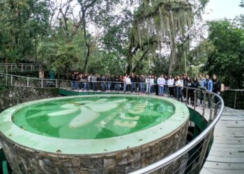 Celebra el “Día de la Familia” en parques estatales
