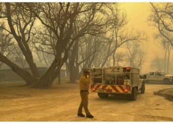 INE investiga presuntos moches a salarios de trabajadores de Colima a favor de Sheinbaum