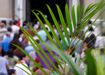 Domingo de Ramos 2024: ¿Cuál es su significado?