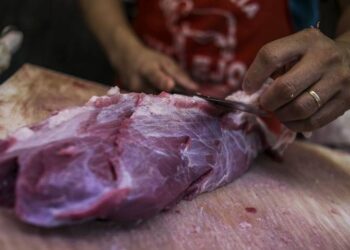 México rechaza etiquetado de origen en productos cárnicos, avícolas y huevo