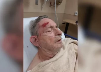 Abejas atacan a un grupo de vecinos en Los Fresnos