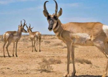 Entorno geográfico de hace 275 años