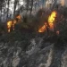 Incendio en sierra de Miquihuana, Tamaulipas ha consumido 30 hectáreas