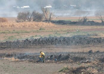 Sequía en CDMX desencadena incendio en vaso regulador “El Cristo”