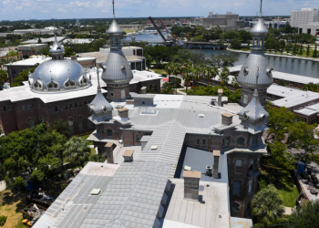 Un recién nacido fue encontrado muerto en el campus de la Universidad de Tampa