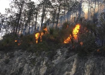 Dos incendios forestales en Tamaulipas fueron provocados por cables de alta tensión de CFE
