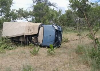 Turista estadounidense muere tras ataque de elefante a vehículo en Zambia