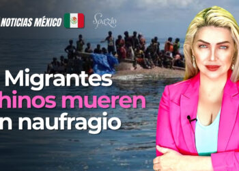 Rescatan a 93 perros y un gato