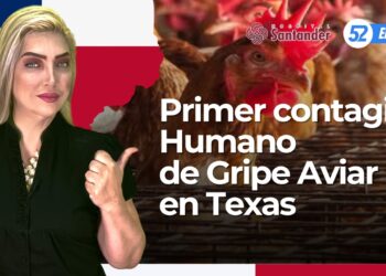 Primer contagio humano de gripe aviar en Texas