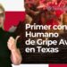 Primer contagio humano de gripe aviar en Texas