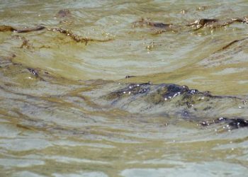 Denuncian derrame de petróleo en plataforma de Pemex en Campeche