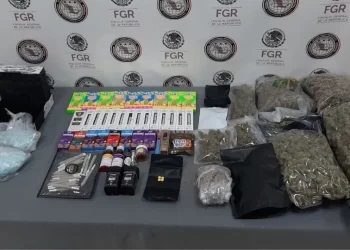 Aseguran casi 17 mil pastillas de fentanilo y diversas drogas en Santa Catarina