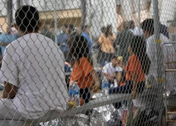 Estados Unidos: Patrulla Fronteriza debe hacerse cargo de niños migrantes